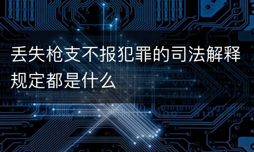 丢失枪支不报犯罪的司法解释规定都是什么