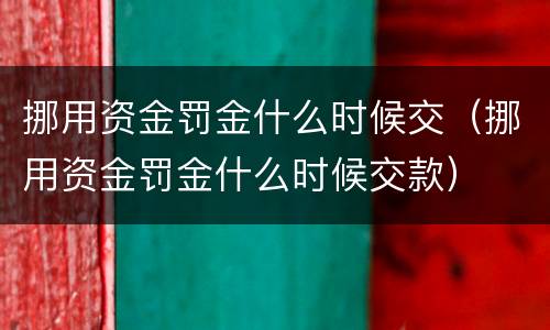 挪用资金罚金什么时候交（挪用资金罚金什么时候交款）