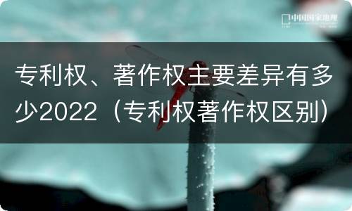 专利权、著作权主要差异有多少2022（专利权著作权区别）