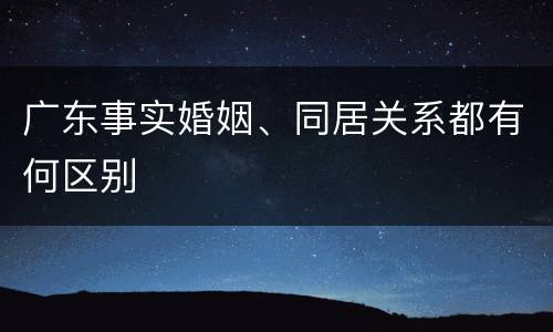 广东事实婚姻、同居关系都有何区别