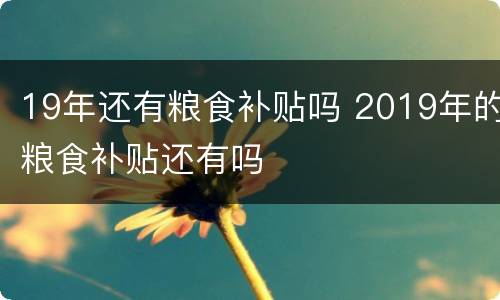 19年还有粮食补贴吗 2019年的粮食补贴还有吗