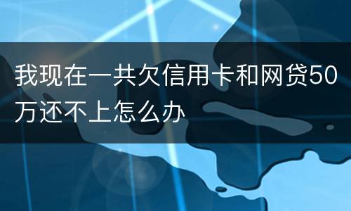 我现在一共欠信用卡和网贷50万还不上怎么办