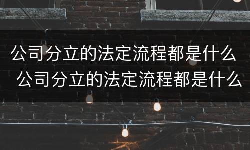 公司分立的法定流程都是什么 公司分立的法定流程都是什么样的