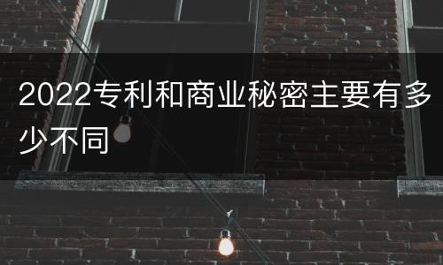 2022专利和商业秘密主要有多少不同