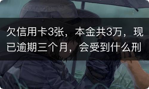 欠信用卡3张，本金共3万，现已逾期三个月，会受到什么刑罚