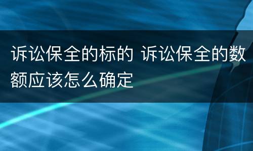 诉讼保全的标的 诉讼保全的数额应该怎么确定