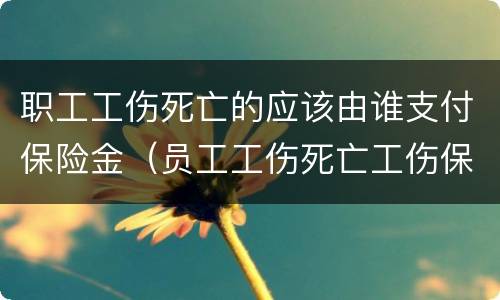 职工工伤死亡的应该由谁支付保险金（员工工伤死亡工伤保险赔钱吗?）