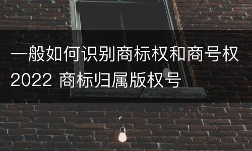 一般如何识别商标权和商号权2022 商标归属版权号