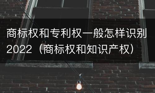 商标权和专利权一般怎样识别2022（商标权和知识产权）