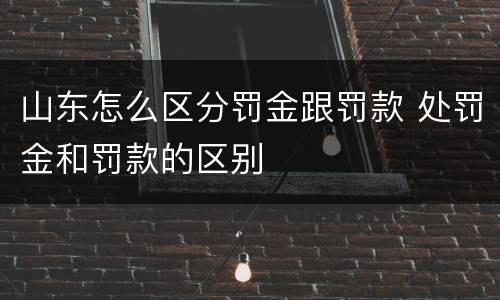 山东怎么区分罚金跟罚款 处罚金和罚款的区别