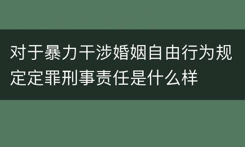 对于暴力干涉婚姻自由行为规定定罪刑事责任是什么样