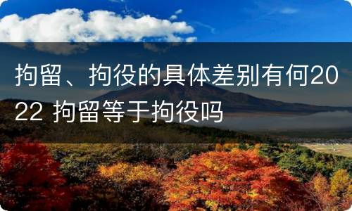 拘留、拘役的具体差别有何2022 拘留等于拘役吗