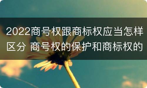 2022商号权跟商标权应当怎样区分 商号权的保护和商标权的保护一样是全国性范围的