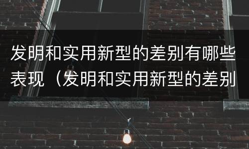 发明和实用新型的差别有哪些表现（发明和实用新型的差别有哪些表现形式）