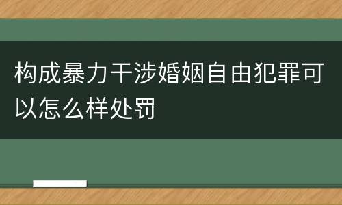 构成暴力干涉婚姻自由犯罪可以怎么样处罚