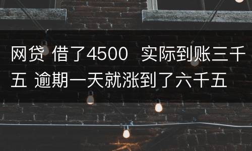 网贷 借了4500  实际到账三千五 逾期一天就涨到了六千五 怎么办 可以举报吗