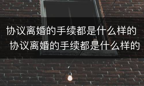 协议离婚的手续都是什么样的 协议离婚的手续都是什么样的呀