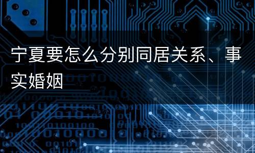 宁夏要怎么分别同居关系、事实婚姻