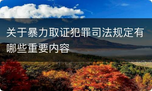 关于暴力取证犯罪司法规定有哪些重要内容