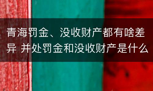 青海罚金、没收财产都有啥差异 并处罚金和没收财产是什么意思