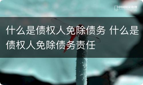 什么是债权人免除债务 什么是债权人免除债务责任