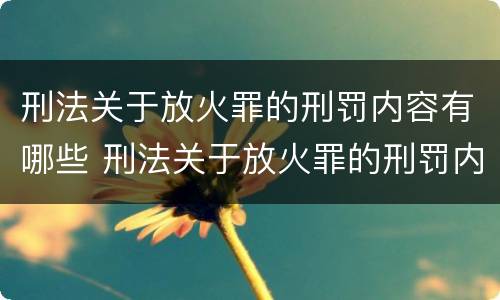 刑法关于放火罪的刑罚内容有哪些 刑法关于放火罪的刑罚内容有哪些条款