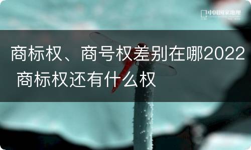 商标权、商号权差别在哪2022 商标权还有什么权