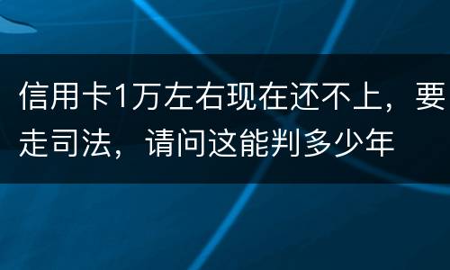 信用卡1万左右现在还不上，要走司法，请问这能判多少年