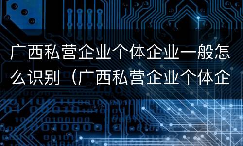 广西私营企业个体企业一般怎么识别（广西私营企业个体企业一般怎么识别的）