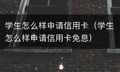 学生怎么样申请信用卡（学生怎么样申请信用卡免息）