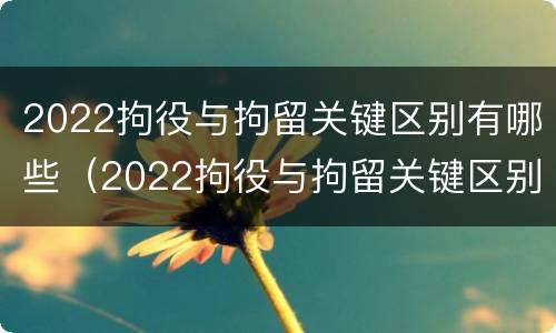 2022拘役与拘留关键区别有哪些（2022拘役与拘留关键区别有哪些方面）