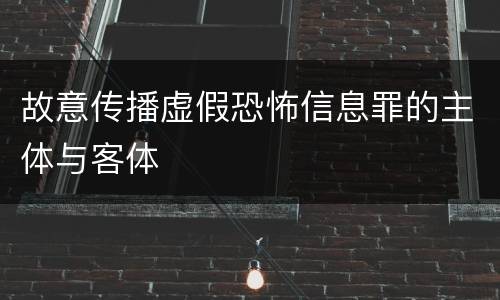 故意传播虚假恐怖信息罪的主体与客体