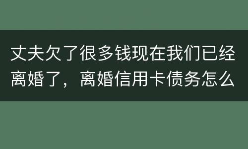 丈夫欠了很多钱现在我们已经离婚了，离婚信用卡债务怎么办