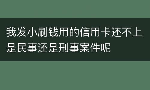 我发小刷钱用的信用卡还不上是民事还是刑事案件呢