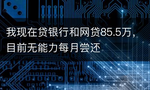 我现在贷银行和网贷85.5万，目前无能力每月尝还