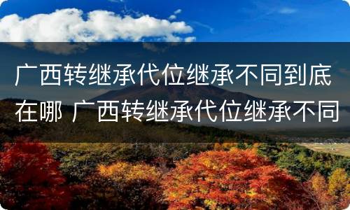 广西转继承代位继承不同到底在哪 广西转继承代位继承不同到底在哪办理