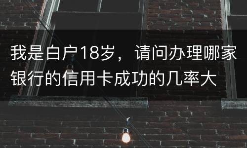 我是白户18岁，请问办理哪家银行的信用卡成功的几率大