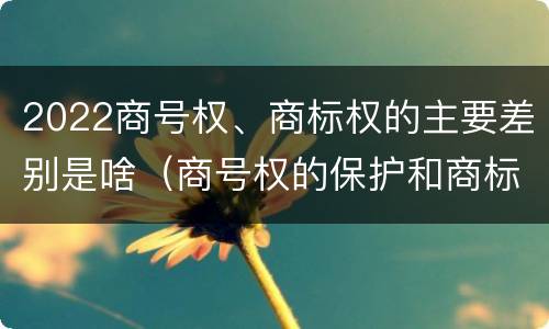 2022商号权、商标权的主要差别是啥（商号权的保护和商标权的保护一样是全国性范围的）