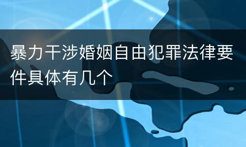 暴力干涉婚姻自由犯罪法律要件具体有几个