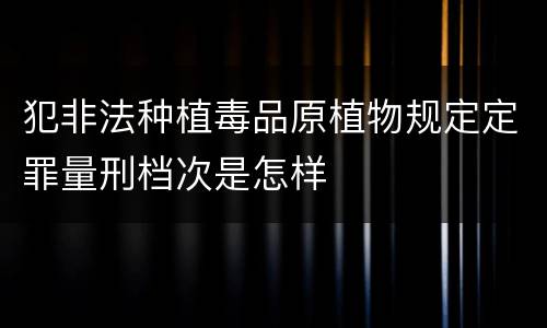 犯非法种植毒品原植物规定定罪量刑档次是怎样