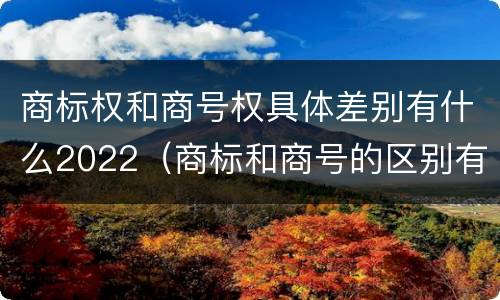 商标权和商号权具体差别有什么2022（商标和商号的区别有哪些?）