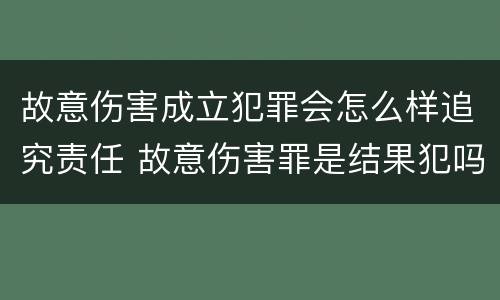 故意伤害成立犯罪会怎么样追究责任 故意伤害罪是结果犯吗