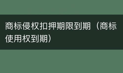 商标侵权扣押期限到期（商标使用权到期）