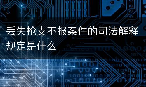 丢失枪支不报案件的司法解释规定是什么