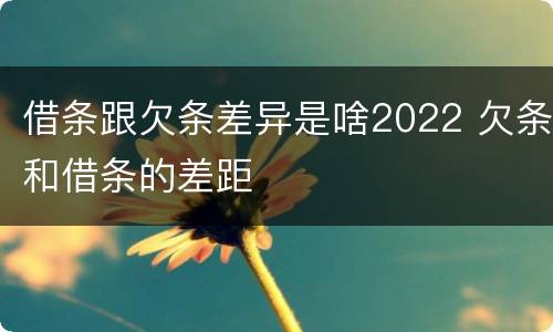 借条跟欠条差异是啥2022 欠条和借条的差距