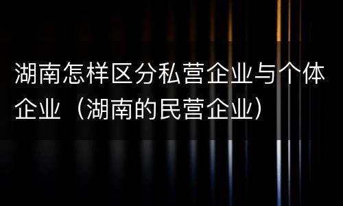 湖南怎样区分私营企业与个体企业（湖南的民营企业）