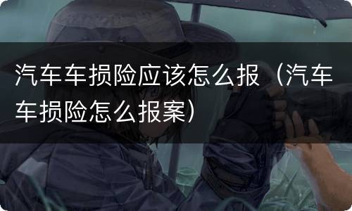 汽车车损险应该怎么报（汽车车损险怎么报案）