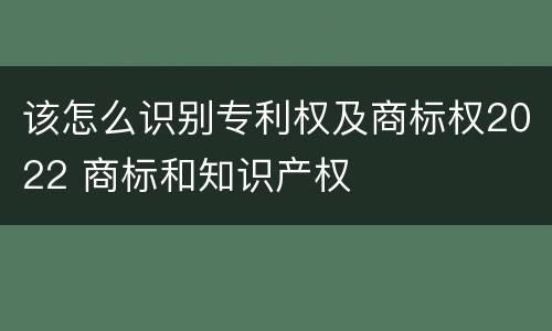 该怎么识别专利权及商标权2022 商标和知识产权