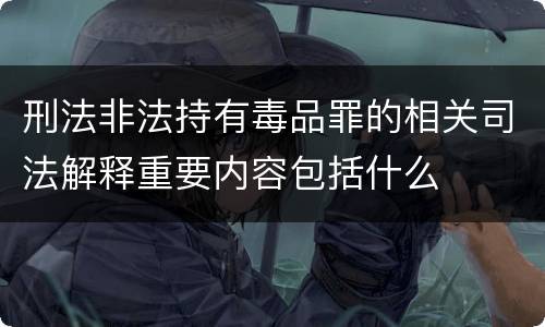 刑法非法持有毒品罪的相关司法解释重要内容包括什么