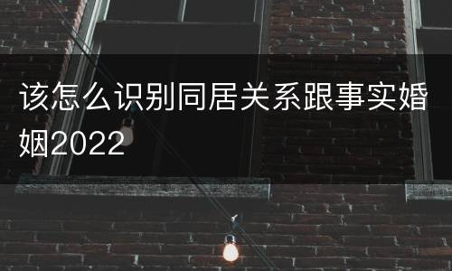 该怎么识别同居关系跟事实婚姻2022